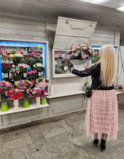 Kwiaciarnia Imbir Gdynia